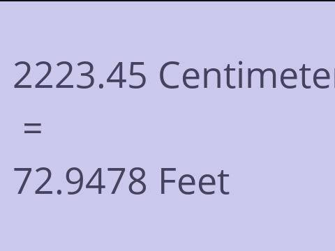 2223.45 CM TO FEET