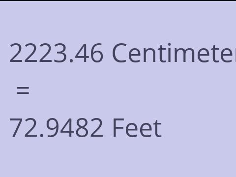 2223.46 CM TO FEET