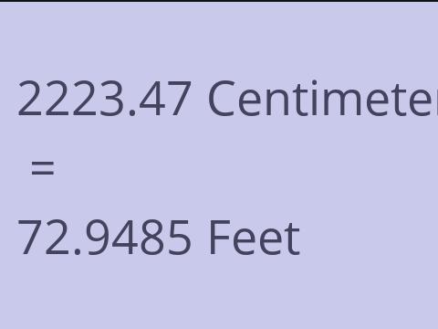 2223.47 CM TO FEET