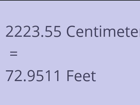 2223.55 CM TO FEET