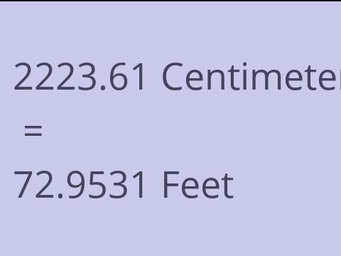 2223.61 CM TO FEET