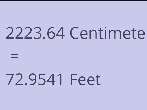 2223.64 CM TO FEET