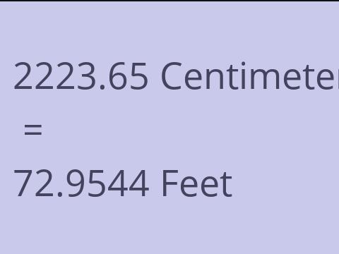 2223.65 CM TO FEET