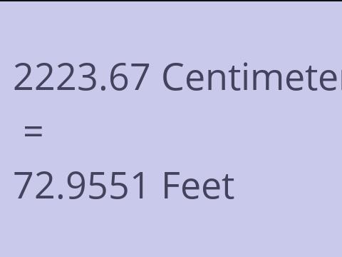 2223.67 CM TO FEET