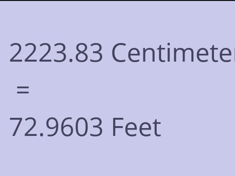 2223.83 CM TO FEET