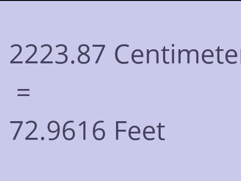 2223.87 CM TO FEET