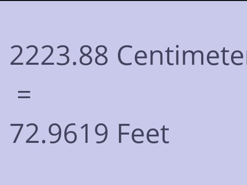 2223.88 CM TO FEET