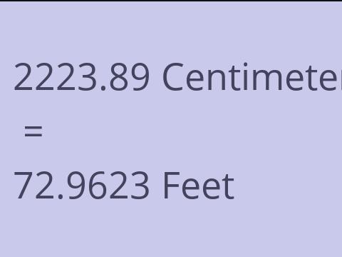 2223.89 CM TO FEET