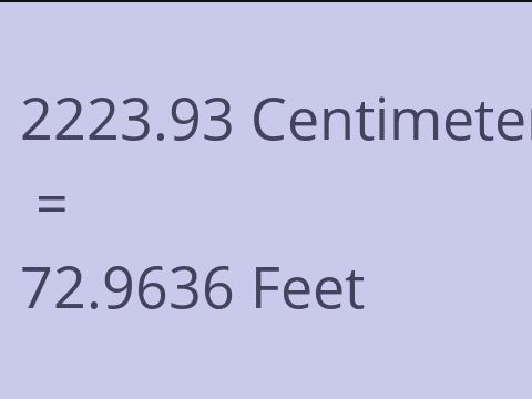 2223.93 CM TO FEET