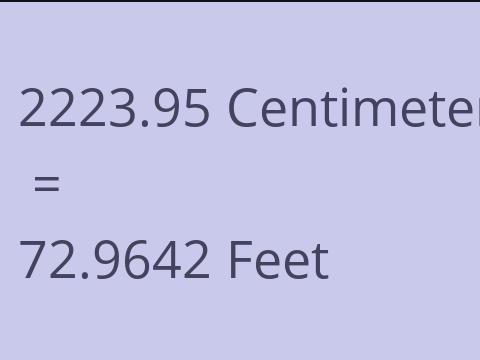 2223.95 CM TO FEET