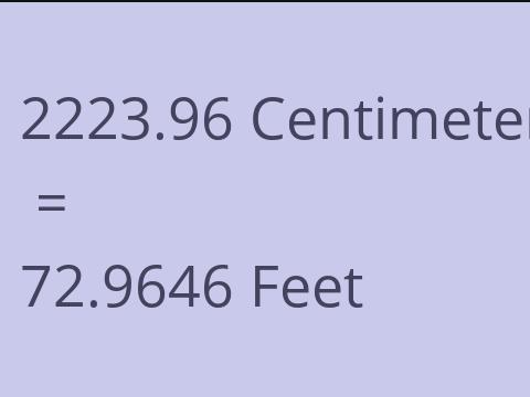 2223.96 CM TO FEET