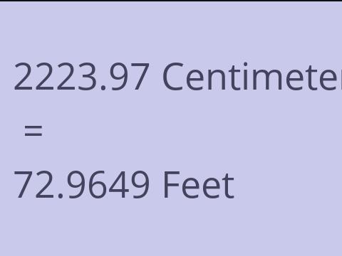 2223.97 CM TO FEET