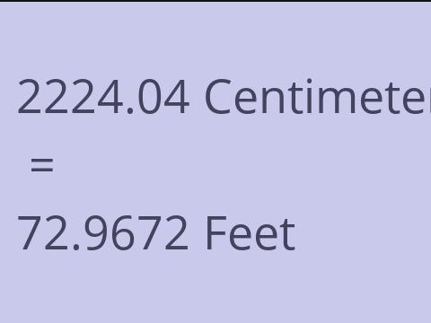 2224.04 CM TO FEET
