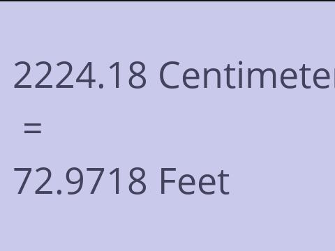 2224.18 CM TO FEET