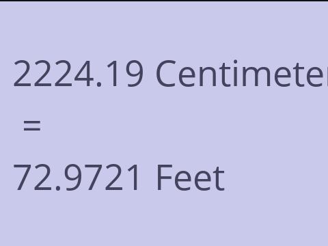 2224.19 CM TO FEET