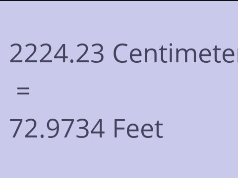 2224.23 CM TO FEET