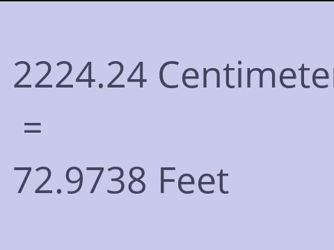 2224.24 CM TO FEET