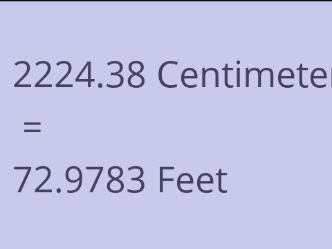 2224.38 CM TO FEET