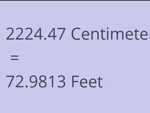 2224.47 CM TO FEET
