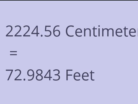 2224.56 CM TO FEET