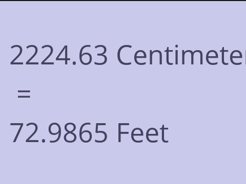 2224.63 CM TO FEET