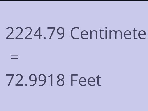 2224.79 CM TO FEET