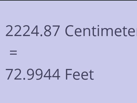 2224.87 CM TO FEET