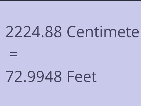 2224.88 CM TO FEET