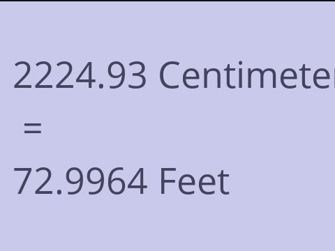 2224.93 CM TO FEET