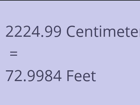 2224.99 CM TO FEET