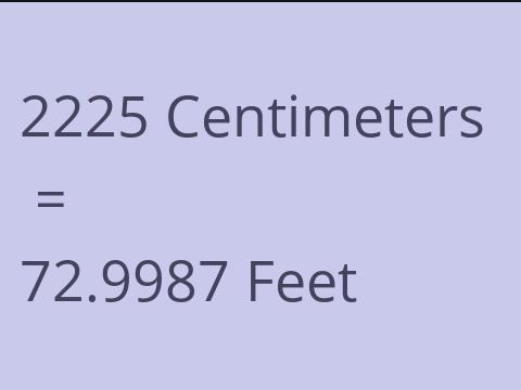 2225 CM TO FEET