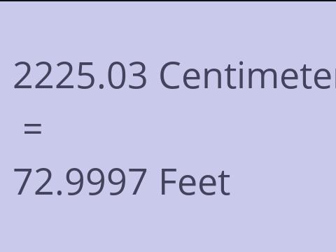 2225.03 CM TO FEET