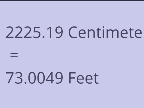 2225.19 CM TO FEET