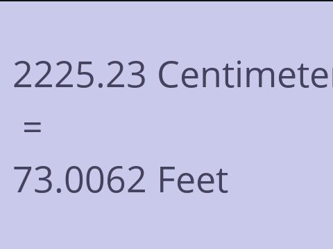 2225.23 CM TO FEET