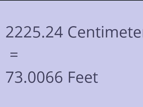 2225.24 CM TO FEET