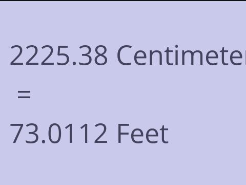 2225.38 CM TO FEET