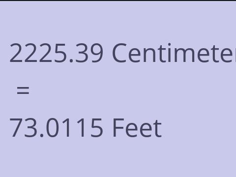 2225.39 CM TO FEET