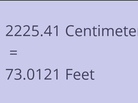 2225.41 CM TO FEET