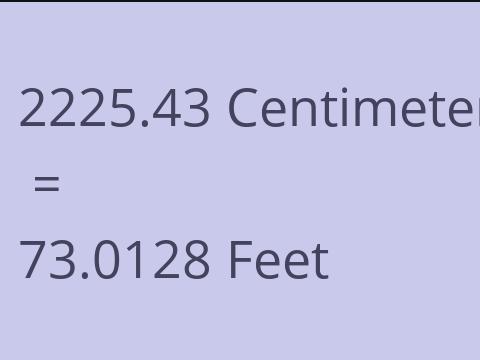 2225.43 CM TO FEET