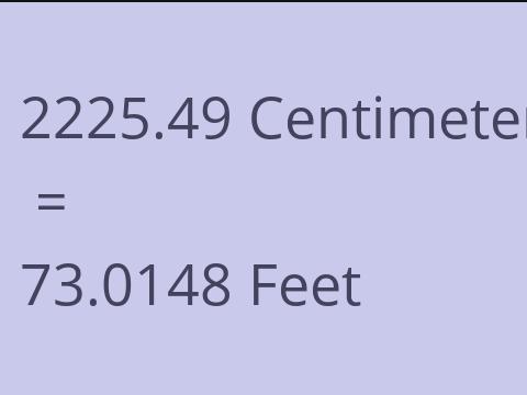2225.49 CM TO FEET