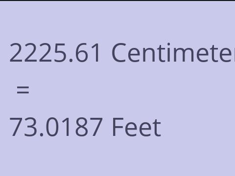 2225.61 CM TO FEET