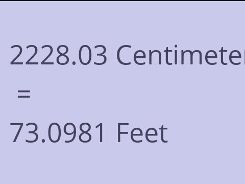 2228.03 CM TO FEET