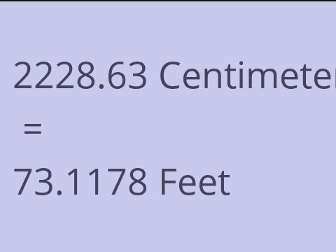 2228.63 CM TO FEET