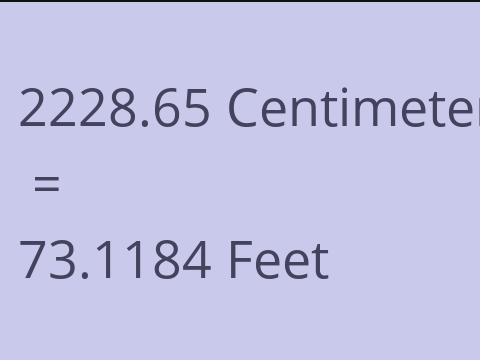 2228.65 CM TO FEET