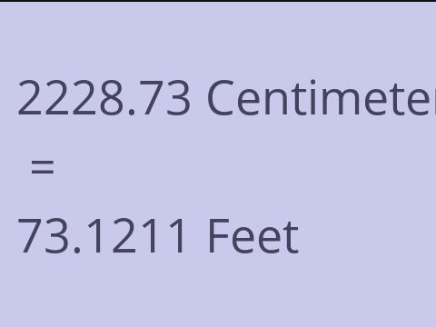 2228.73 CM TO FEET