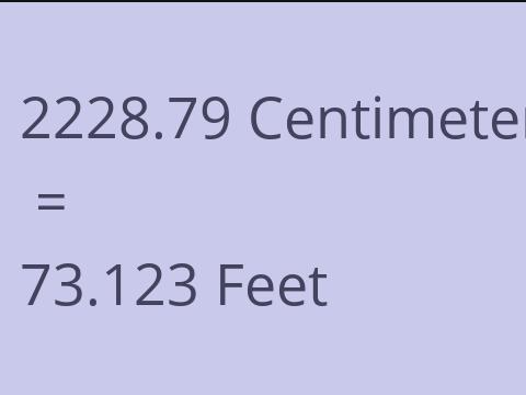 2228.79 CM TO FEET