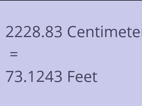 2228.83 CM TO FEET