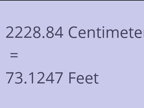2228.84 CM TO FEET