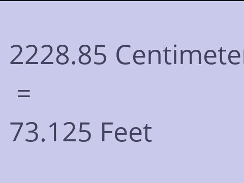 2228.85 CM TO FEET