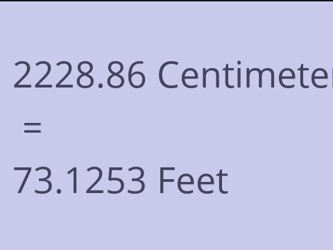 2228.86 CM TO FEET